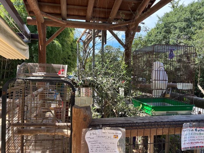 画像 入口脇の鳥のケージと、ヨウムとタイハクオウムの紹介の貼り紙