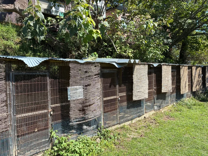 画像 すだれが掛かった金網の鶏小屋