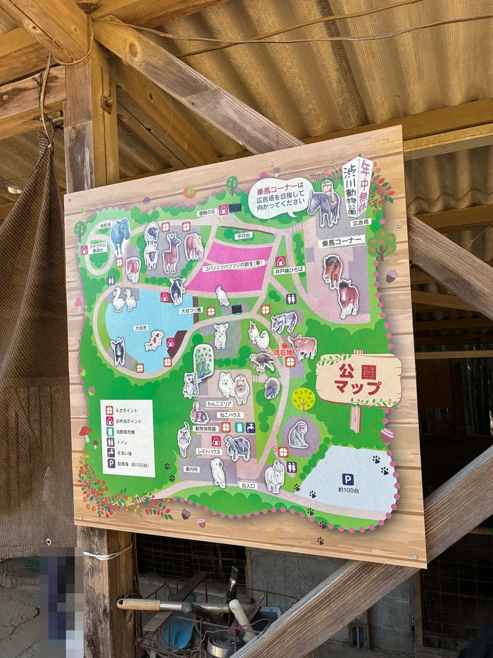 画像 渋川動物公園の園内を描いたイラストの公園マップ
