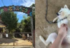 岡山・玉野の動物園『渋川動物公園』は動物たちが人懐っこい！餌やり100円や乗馬、所要時間・駐車場まで体験レビュー