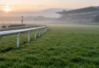 早朝の競馬場の芝コース。朝もやの中に白い内ラチが続いている