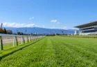 晴れた秋の競馬場の芝コースの直線