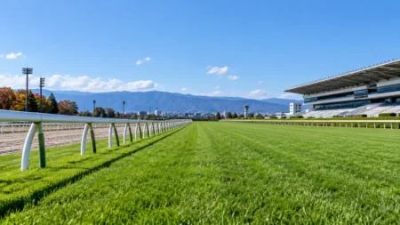 晴れた秋の競馬場の芝コースの直線