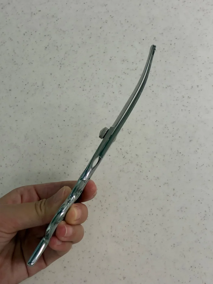 ペット用トリミングハサミを横から見た、刃のカーブ
