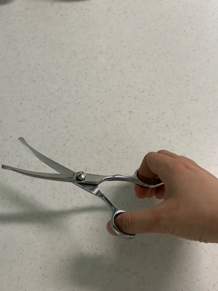 ペット用トリミングハサミを開いて手に持った様子