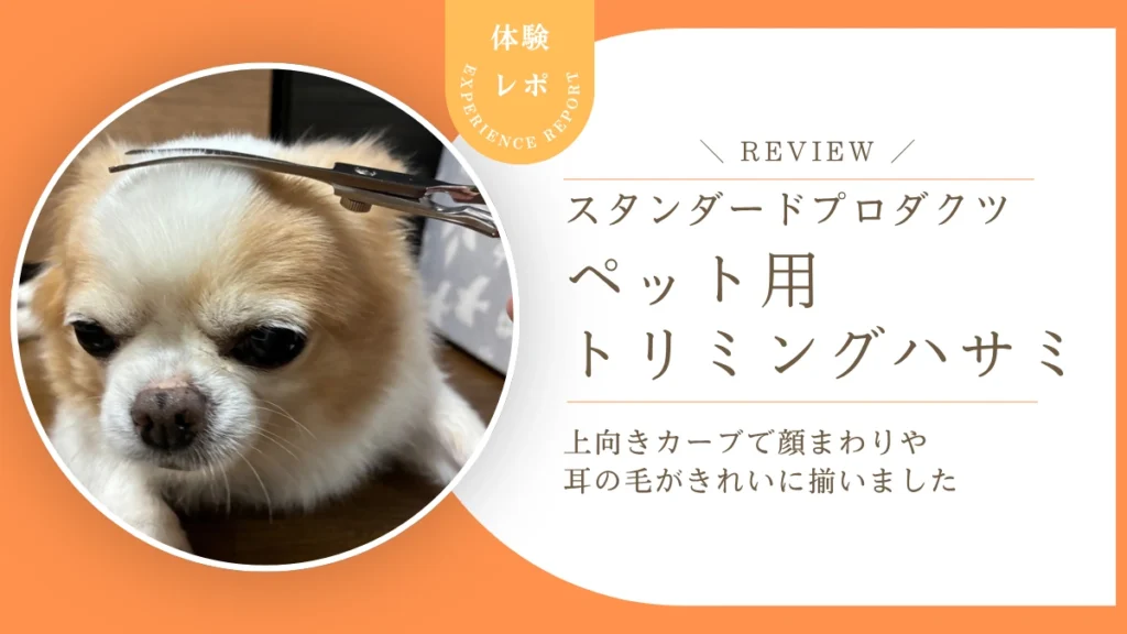 eyecatch