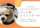 自宅トリミングに使いやすい？スタプロ「ペット用トリミングハサミ」をレビュー　上向きカーブで犬の顔まわりや耳の毛がきれいに揃いました