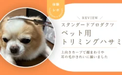 自宅トリミングに使いやすい？スタプロ「ペット用トリミングハサミ」をレビュー　上向きカーブで犬の顔まわりや耳の毛がきれいに揃いました