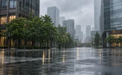 雨に濡れた都心のビル街と交差点