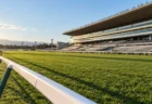 冬の午後の競馬場、芝コースのゴール前と無人のスタンド