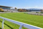 秋晴れの競馬場の芝コースと内ラチ