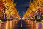 LEDライトで照らされた夜の並木道