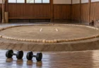 相撲部屋の稽古場の土俵と、土俵脇に置かれた2つの黒い鉄アレイ