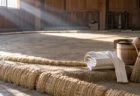 朝の光が差し込む相撲部屋の稽古場、土俵の上に置かれた白い稽古まわしと竹ぼうき