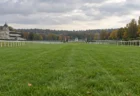 曇り空の下、白いラチが延びる欧州の競馬場の芝コース