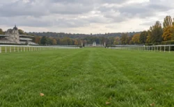 曇り空の下、白いラチが延びる欧州の競馬場の芝コース