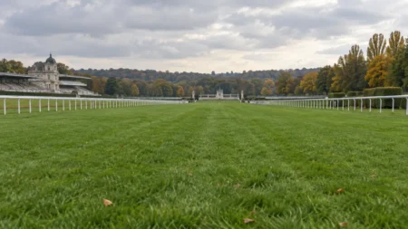 曇り空の下、白いラチが延びる欧州の競馬場の芝コース