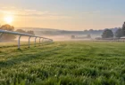 朝露の残るヨーロッパの競馬場の芝コース