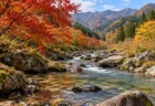紅葉した木々のあいだを流れる、東北の山あいの澄んだ沢