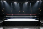 照明に照らされたプロレスのリングとロープ