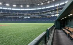 試合のない昼のドーム球場、誰もいないベンチと人工芝の外野