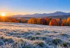 霜が降りて白くなった晩秋の早朝の牧草地と紅葉