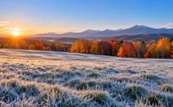 霜が降りて白くなった晩秋の早朝の牧草地と紅葉