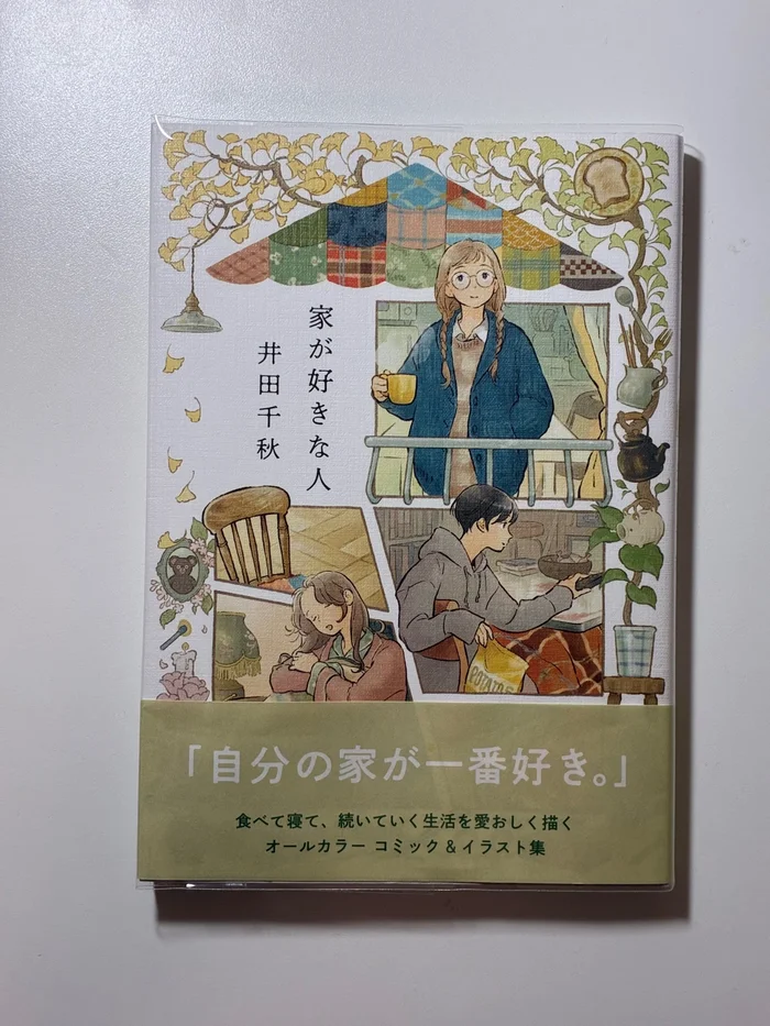 画像 クリアブックカバーを付けた本の表紙側。帯ごとカバーの中に収まっている