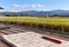 秋晴れの競馬場の芝コースとゴール板を望むベンチに、競馬新聞と赤ペンが置かれている