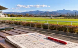 秋晴れの競馬場の芝コースとゴール板を望むベンチに、競馬新聞と赤ペンが置かれている