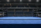 無人の総合格闘技リング（イメージ）