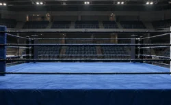 無人の総合格闘技リング(イメージ)