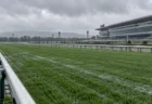 曇り空の下、雨に濡れた競馬場の芝コースとスタンド