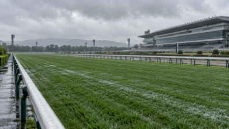 曇り空の下、雨に濡れた競馬場の芝コースとスタンド
