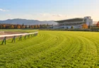 秋の午後の競馬場。緑の芝コースと白い内ラチが奥へカーブし、奥にスタンドが見える