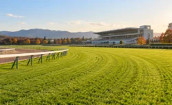 秋の午後の競馬場。緑の芝コースと白い内ラチが奥へカーブし、奥にスタンドが見える