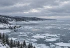 流氷が浮かぶ冬の北の海と雪の針葉樹林