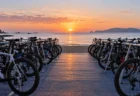 朝の海辺のトライアスロン会場に並ぶロードバイク