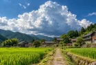 夏の山あいの集落、田んぼのあぜ道の先に古い民家が並び空に大きな入道雲