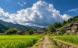 夏の山あいの集落、田んぼのあぜ道の先に古い民家が並び空に大きな入道雲