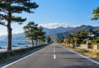 秋晴れの海沿いの道路と遠くに続く松並木