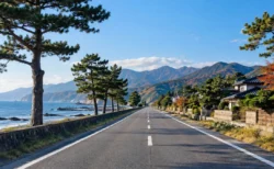 秋晴れの海沿いの道路と遠くに続く松並木