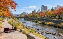 秋の札幌の川沿いの公園の遊歩道に置かれたアコースティックギターとマイクスタンド