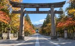 秋晴れの朝、神社の大きな鳥居前から延びる人のいない舗装路