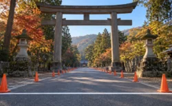 秋の朝、神社の大きな鳥居の前から伸びる道路に白いスタートラインとコーンが並ぶ風景