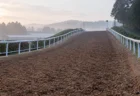 朝もやの中、白いラチに挟まれて上っていくトレーニングセンターの坂路コース