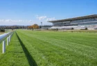 秋の競馬場の芝コースとゴール板付近の直線