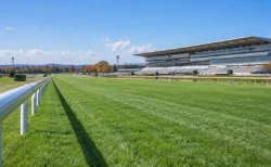 秋の競馬場の芝コースとゴール板付近の直線