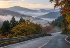 朝の箱根の山あいを縫う道路と色づく木々、誰もいない沿道
