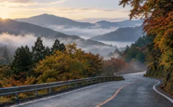 朝の箱根の山あいを縫う道路と色づく木々、誰もいない沿道